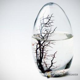 EcoSphere, lille, oval