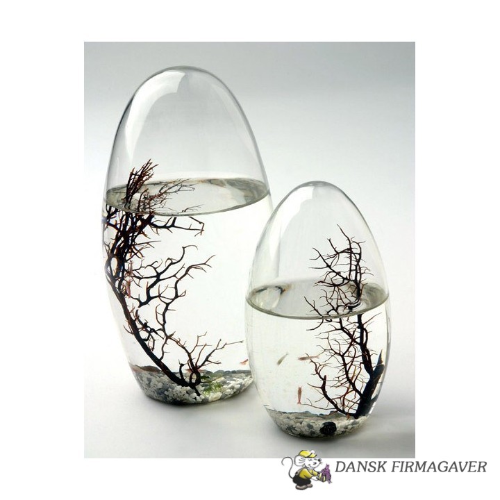 EcoSphere, lille, oval