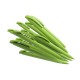 NATURE PLUS PEN MATT