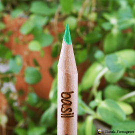 Farve blyanter - Bæredygtig