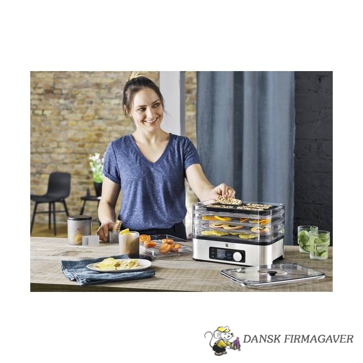 DMF Dehydrator Snack
