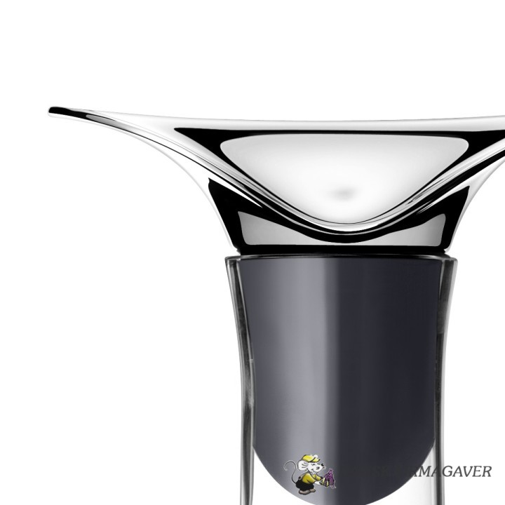 Glas karaffel og vin prop