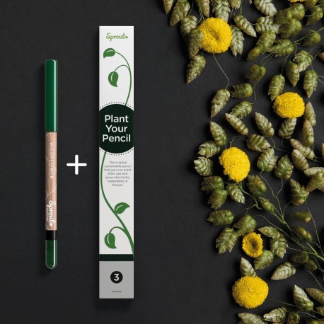 Black Eyeliner + 3 pak blyanter