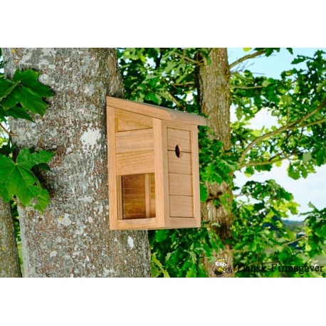 Mejsekasse lavet i Indonesisk teak