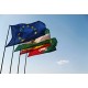 Flag med Logo
