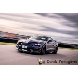 GO DREAM - FORD MUSTANG SHELBY GT350