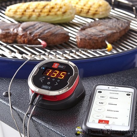 Weber IGrill Mini