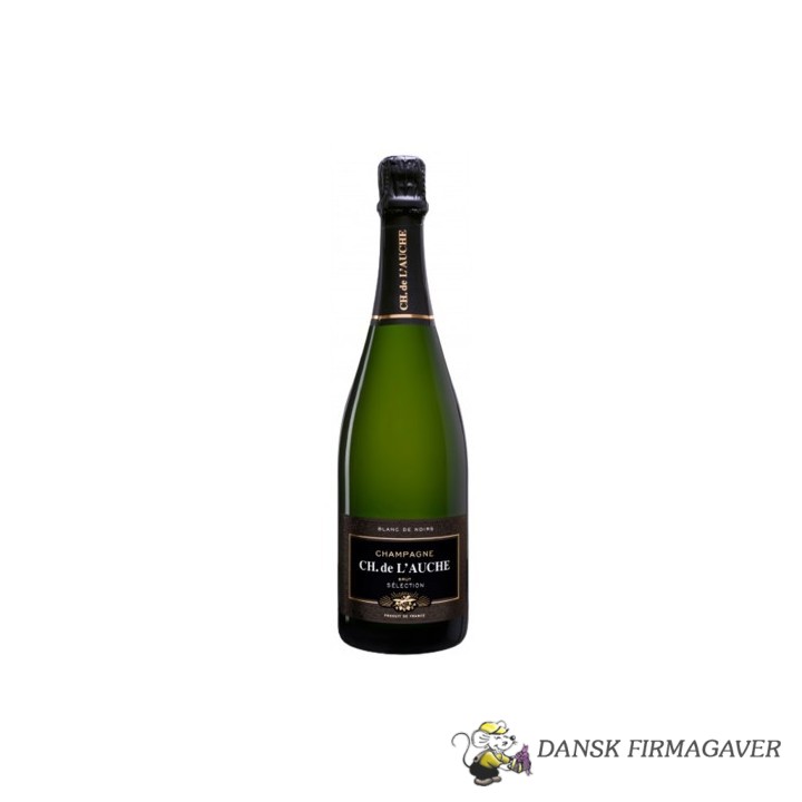 Champagne Brut
