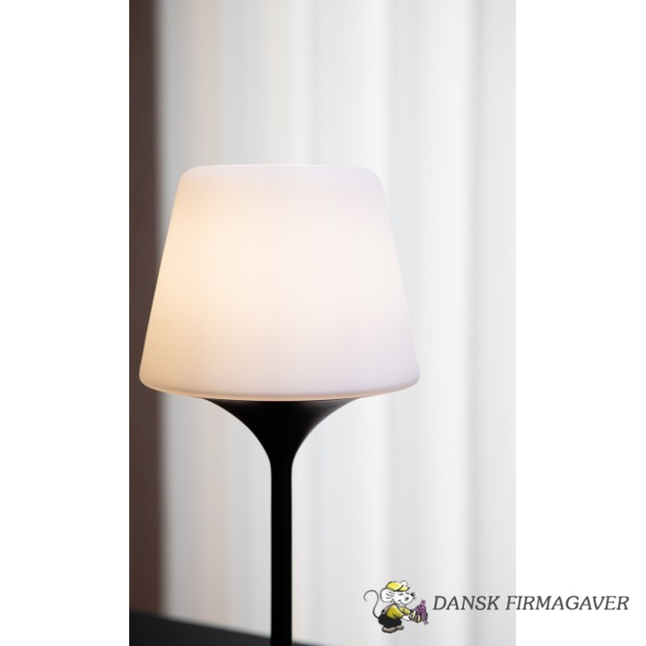 Sackit Lamp Intelligent + Aalborg