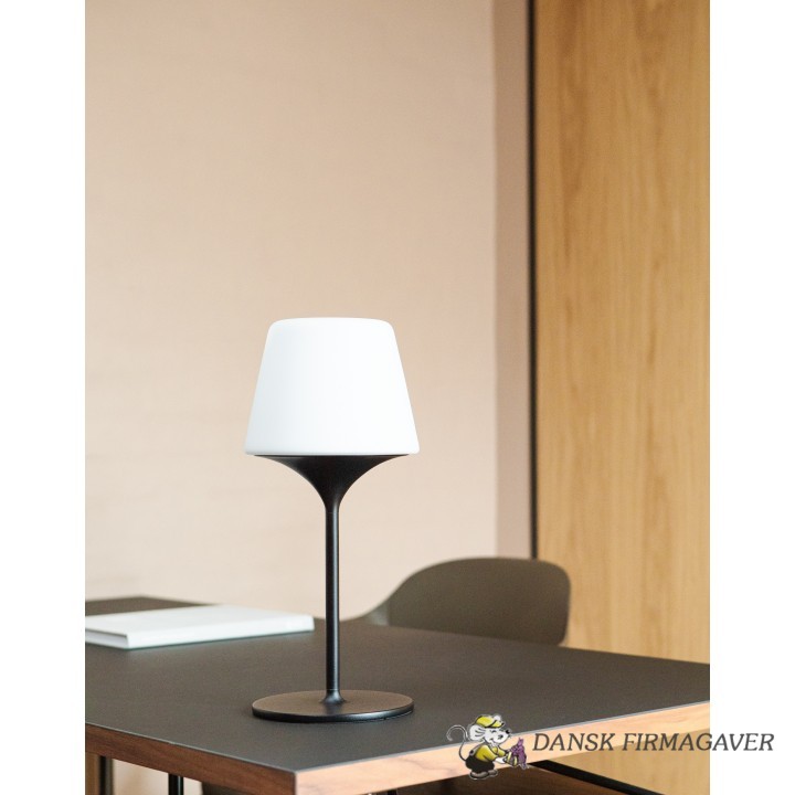 Sackit Lamp Intelligent + Aalborg