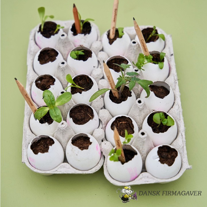 Sprout Blyant