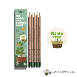 PLANT ET TRÆ | 5 PAK