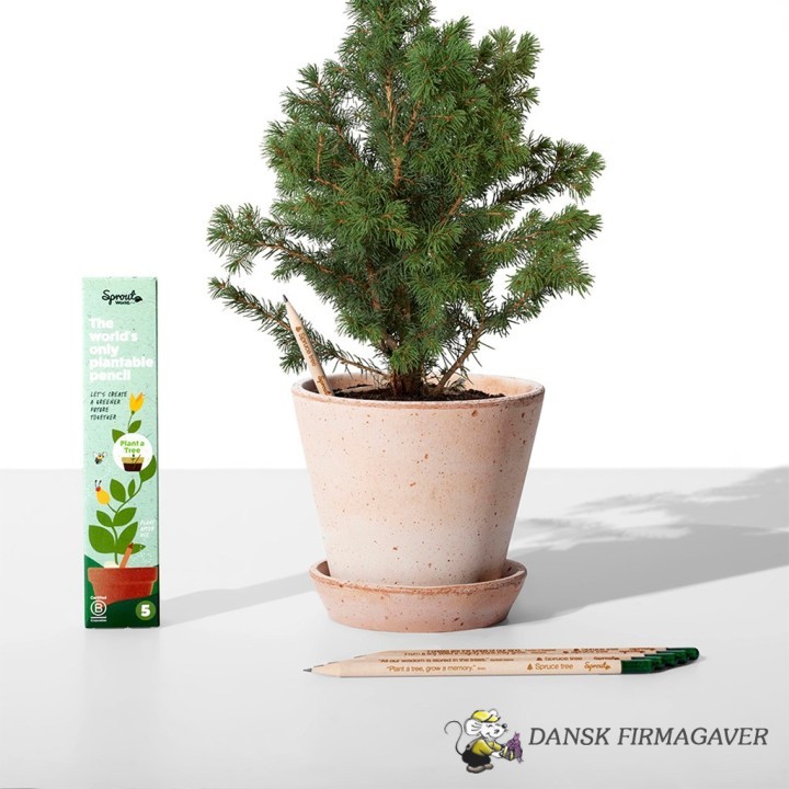 PLANT ET TRÆ | 5 PAK