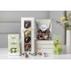 EASTER GIFT GREEN