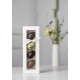 40049 | MARZIPAN EGGS 4