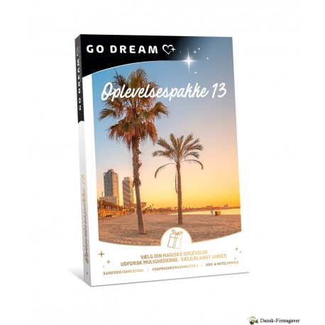 GO DREAM OPGAVER 13