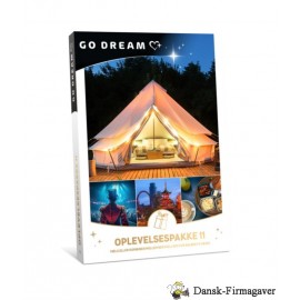 GO DREAM OPLEVELSE 11
