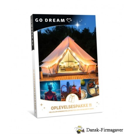 GO DREAM OPLEVELSE 11