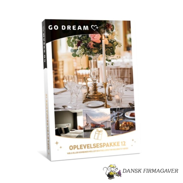 GO DREAM OPLEVELSER 12