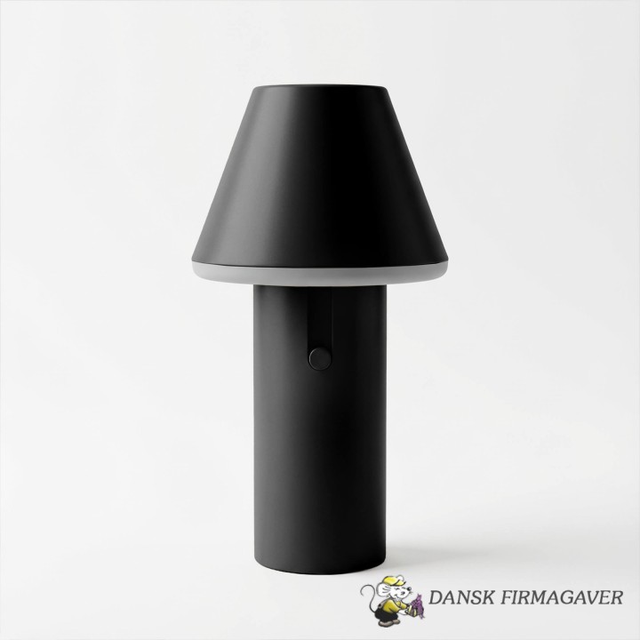 EXPO Cone - SACKit