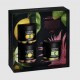 Black Box - 3xSmall - Lemon/Pink Pineapple/Sour Strawberry