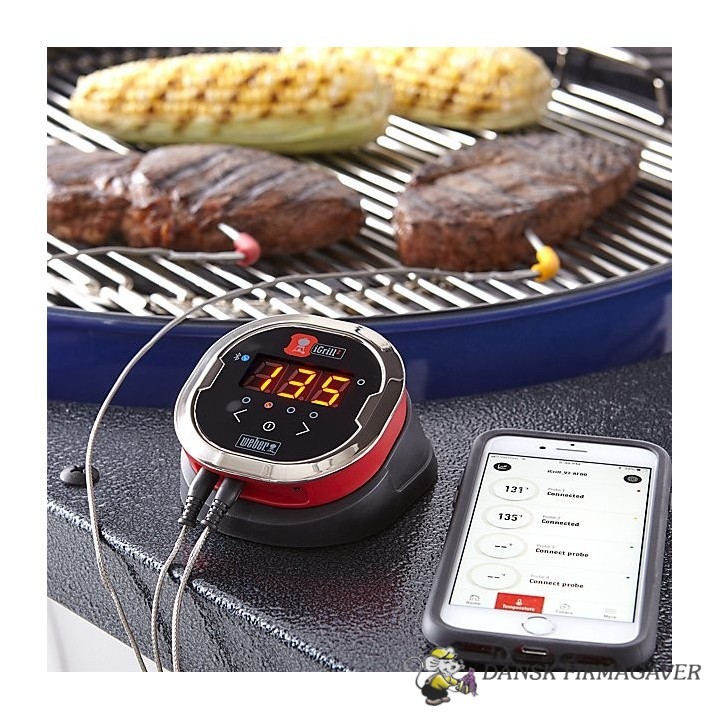 Weber IGrill Mini