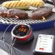 Weber IGrill Mini