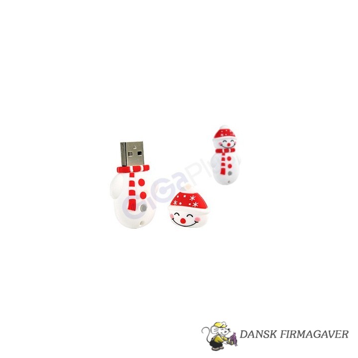 USB stik RB-SM1