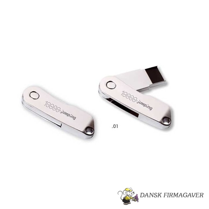 Boomeragn USB Stik 