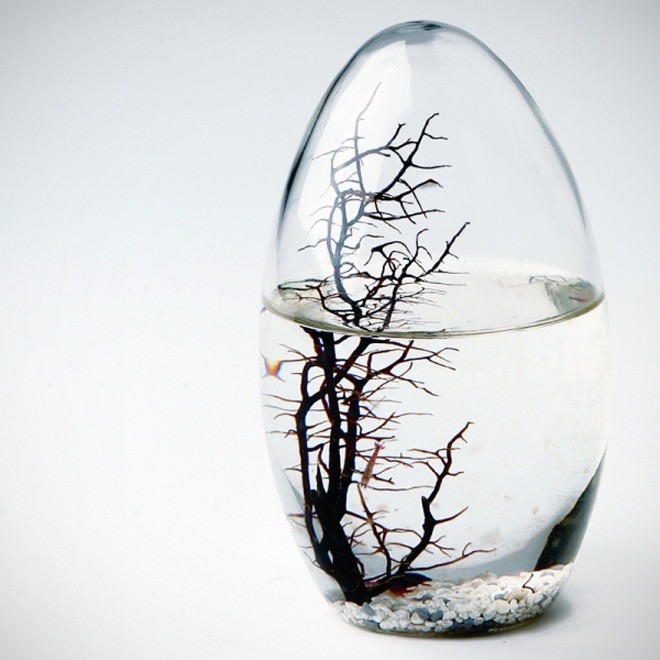 EcoSphere, lille, oval