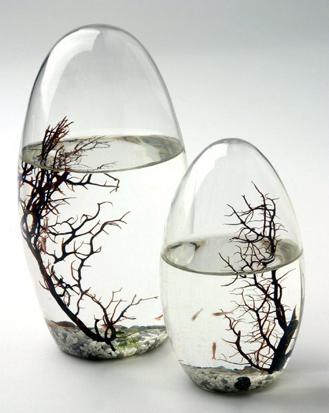 EcoSphere, lille, oval