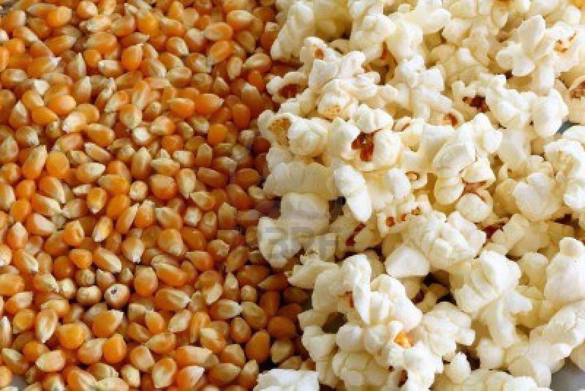 DMF Dehydrator Snack