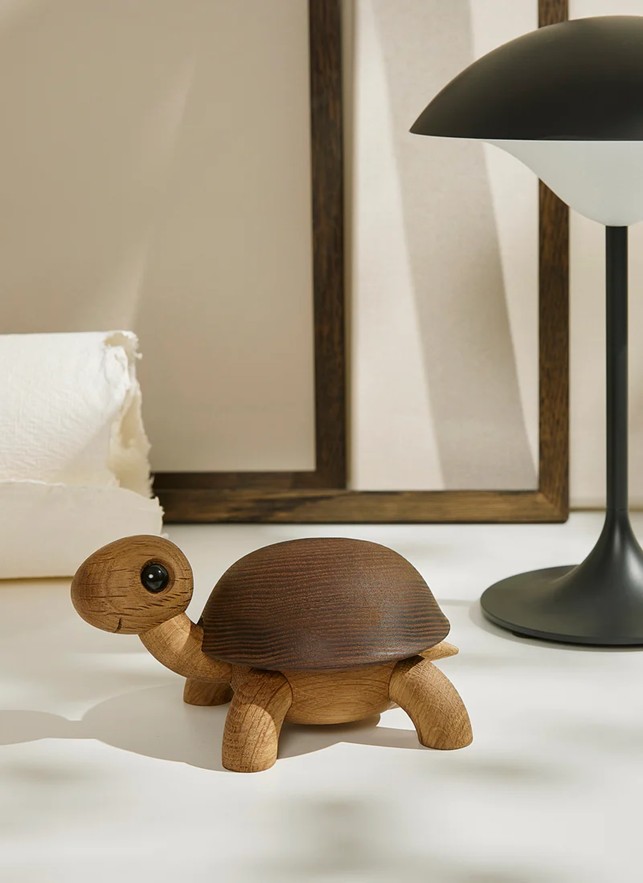 Skildpadde Lille Speedy