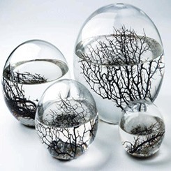 ECOSPHERE XXLS 30 cm