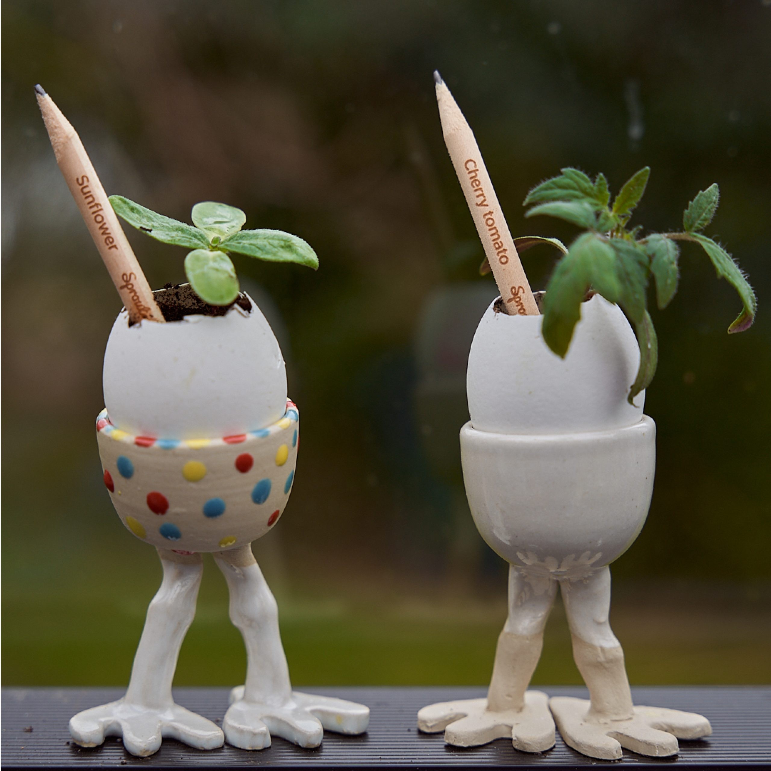 Sprout Blyant
